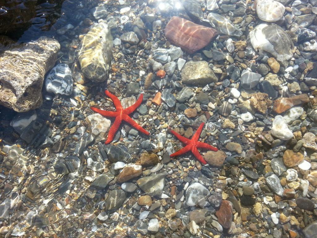 Cala Dei Mori Aparthotel Livorno Kültér fotó